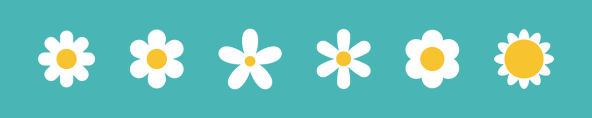 Flower icon set. Retro spring summer white flower design vector. Camomile. Cute round flower plant collection isolated on white background.