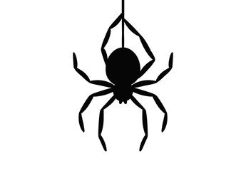 Hanging Web spider