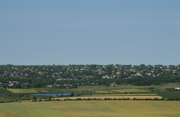 Obraz premium A landscape with a field and trees