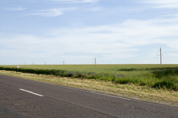 A road with grass and a blue sky