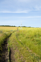A dirt road in a field
