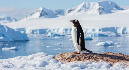 Obraz premium Gentle penguin standing proudly on rocky shore amidst icebergs and snow-capped mountains in a beautiful Antarctic landscape
