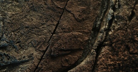 Close-up of cracked brown rock surface with fine texture and deep line