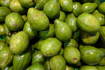 A vibrant pile of fresh green avocados with shiny skins and natural imperfections displayed at a traditional market. Local tropical fruit commonly sold in Southeast Asia stalls.