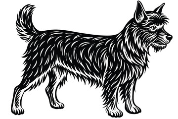 Black silhouette showcases a Norfolk Terrier standing gracefully with its detailed fur
