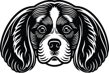 Black and white shows a Cavalier King Charles spaniel's face looking forward