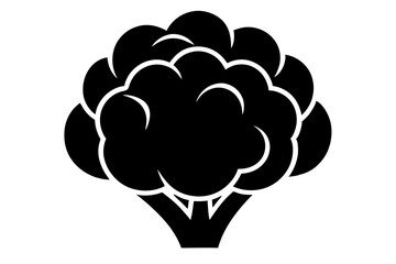 Cauliflower vector silhouette illustration isolated on white background