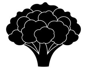 Cauliflower vector silhouette illustration isolated on white background