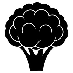 Cauliflower vector silhouette illustration isolated on white background