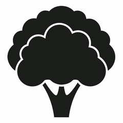 Cauliflower vector silhouette illustration isolated on white background