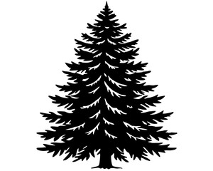 Obraz premium Evergreen Tree Vector Art, Tree Vector Icon Clipart