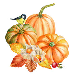 Pumpkins with tit bird physalis and autumn foliage watercolor clipart for seasonal cards Thanksgiving decor and harvest projects
