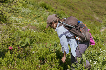 Botanist Observing Plants in a Green Alpine Meadow