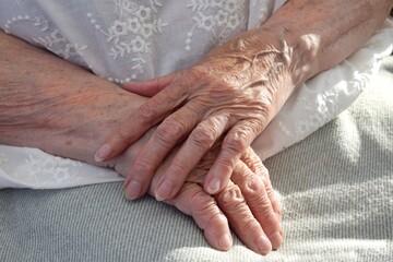 Fototapeta premium Wrinkled hands of an elderly woman.