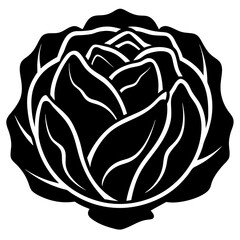 Cabbage vector silhouette illustration isolated on white background