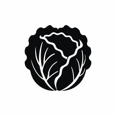 Cabbage vector silhouette illustration isolated on white background