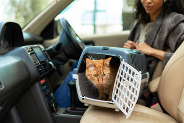 Ginger cat traveling by car inside pet carrier next to businesswoman