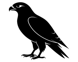 Fototapeta premium Hawk Bird Silhouette Vector Art