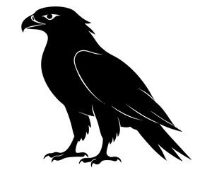 Fototapeta premium Hawk Bird Silhouette Vector Art