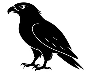 Fototapeta premium Hawk Bird Silhouette Vector Art
