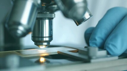 Dengue virus particles are examined under a microscope, aiding research efforts to control its spread. Health scientists work in a laboratory. - Powered by Adobe