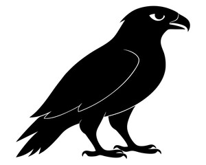 Hawk Bird Silhouette Vector Art