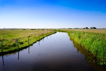 Authentic dutch river landscape with green meadows, water and blue sky, Netherlands.