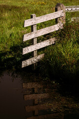 Wooden fence in dairy farmland in dutch countryside, Netherlands.