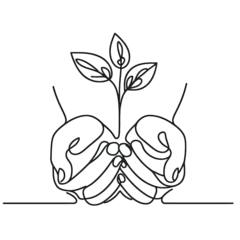 hand holding plant  Simple one line drawing . Transparent background png file 