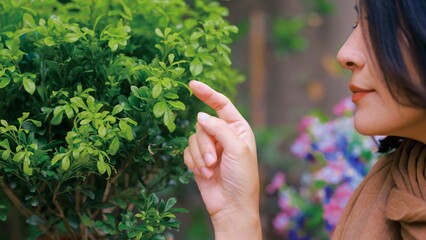 Woman interacting gently with green leaves outdoors.