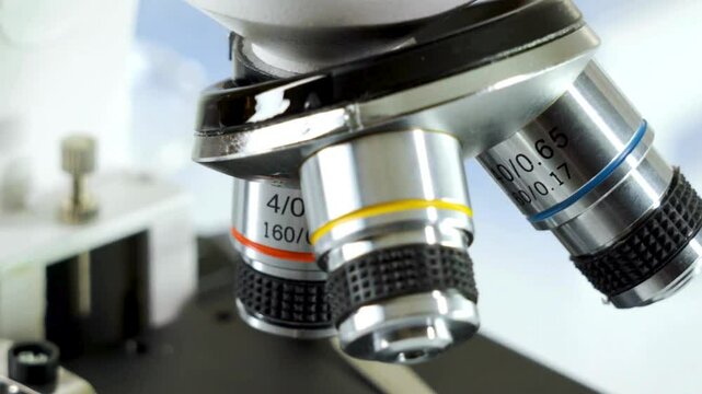 Microscopic focus on herpes simplex virus, studied to understand the impact of the virus. Researchers are working to develop antiviral treatments.