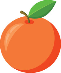 vector illustration of grapefruit