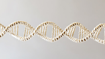 Detailed Representation of a DNA Double Helix Structure