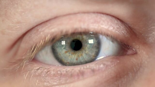 Blue Eye of girl looking at Camera Close Up. Macro Shot front view Opening and Closing Blue Eyes Little Girl Close Up Motion of famele Eyes background