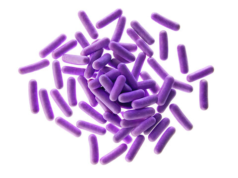   photography of bacillus anthracis microorganisms isolated on white background  PNG ,ai generated