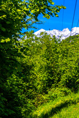 Lechtal Austria alpine mountain landscape panorama blue sky behind trees.