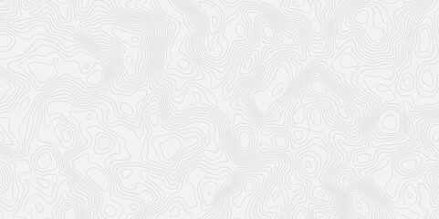 Topographic contour map style white background with thin contour lines creating a seamless pattern smooth design.