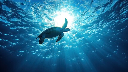 Fototapeta premium A Majestic Sea Turtle gracefully glides through sun-drenched ocean waters