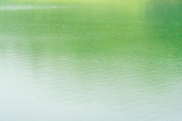 霧で霞んだ水面に樹木が映る09