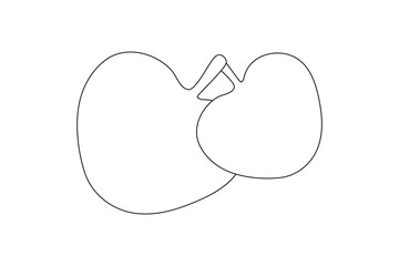 apple one line art and frui stock photos vectors and illustration design
