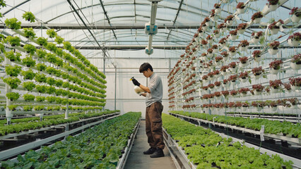 A person examining and possibly pruning plants in an indoor greenhouse setting, with potential uses in education or horticulture