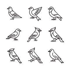 Birds sitting on a branch in a cute cartoon vector illustration set