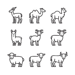 Line Art Collection Diverse Animals - Camels, Goats, Sheep, and More