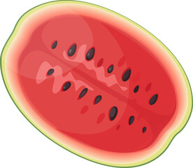 Watermelon set in flat cartoon design isolated elements of Vector illustration