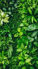 Lush Green Leaves and Vibrant Foliage in Nature Inspired Design