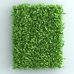 Lush Green Leaves Texture for Natural Decoration and Background Use