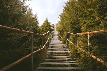 The stairs leading to the top of Toaca. The picture is full of warmth and harmony. Symbolising...