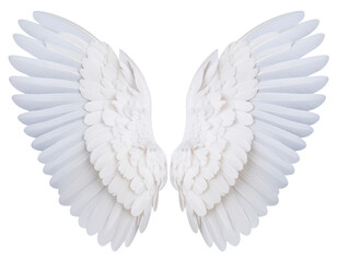 Fototapeta premium Angel Wings Clipart 