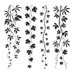 Vertical Hanging Vines and Tropical Creepers Silhouette Vector Pack