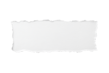 引きちぎられた四角い紙片のテクスチャー